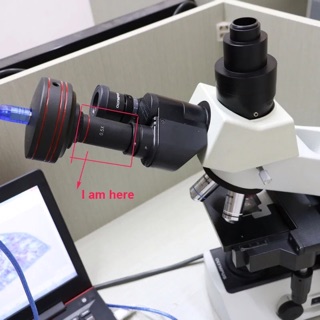 C-mount 0.5X cho camera kính hiển vi