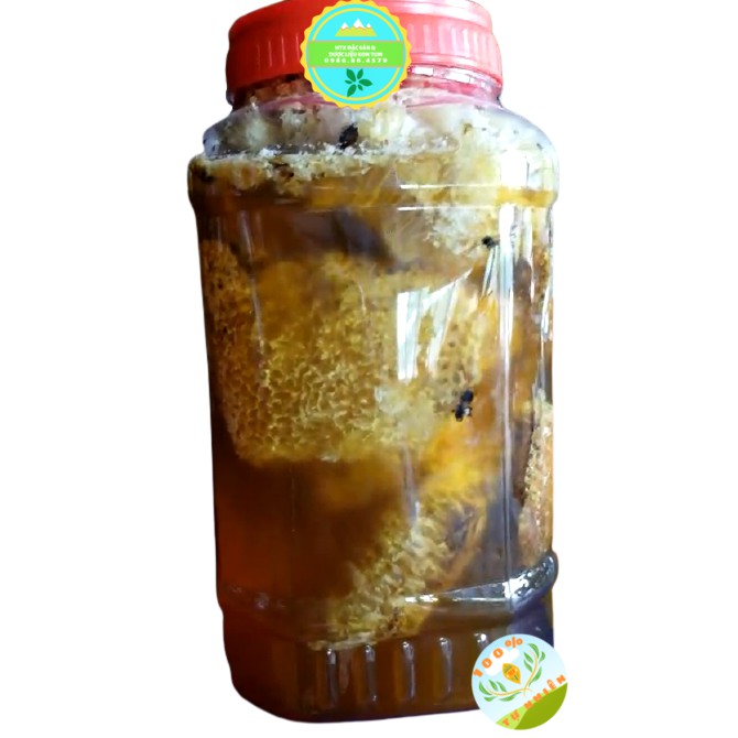 [Cam kết chuẩn 100%] 1kg Mật ong khoái(ong treo)nguyên tổ Tây nguyên 1kg