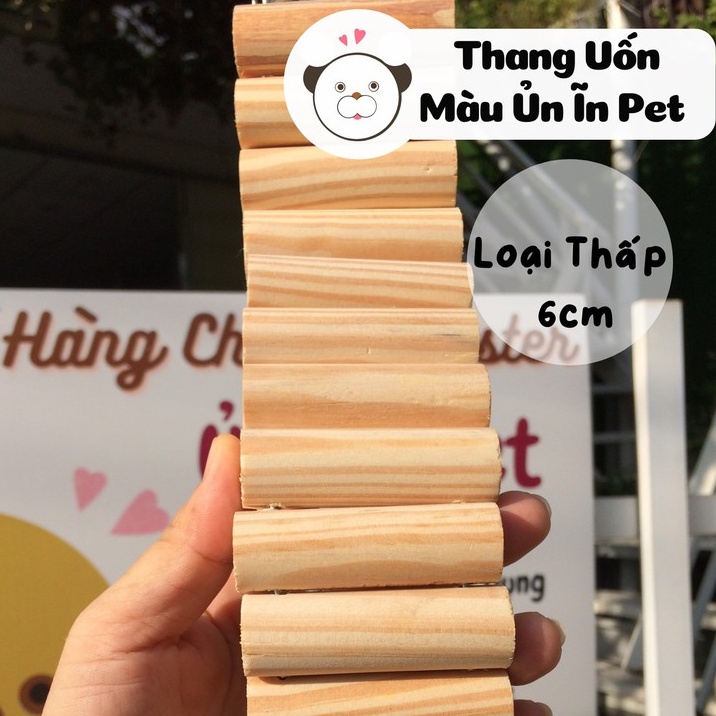 Thang uốn gỗ màu THẤP 6CM, trang trí chuồng hamster, sóc, bọ, nhím, thú nhỏ