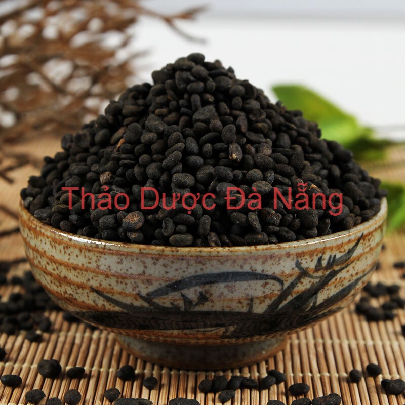 1 Kg Phá Cố Chỉ (Bổ Cốt Chỉ) thơm,sạch.