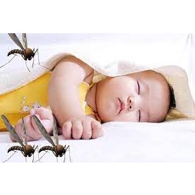 Tinh dầu tràm 10ml xịn bôi muỗi trị côn trùng cắn cho bé