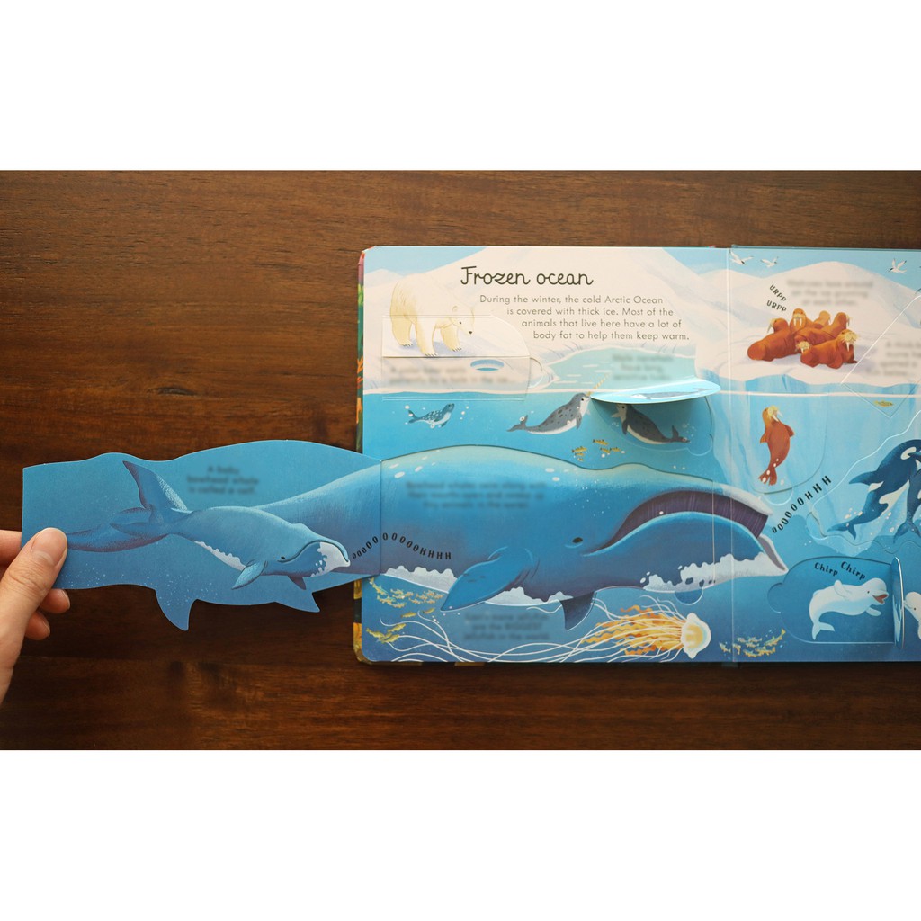 Sách lật mở khám phá Look Inside Seas and Oceans Usborne cho bé tìm hiểu biển và đại dương