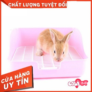Khay Vệ Sinh Guinea Pig - Thỏ