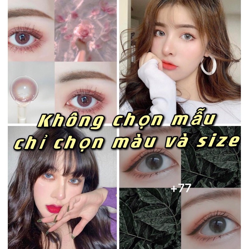 ( Mẫu do shop chọn ) Lens O độ + Tặng khay đơn