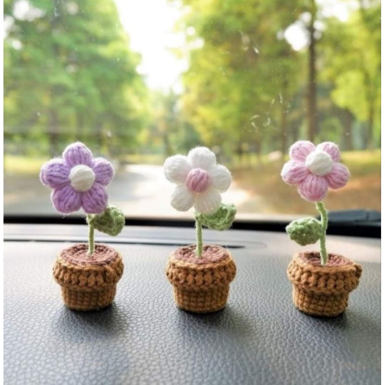 Cây hoa mini siêu xinh