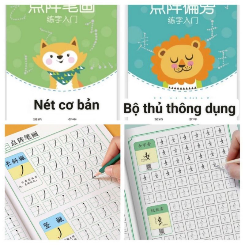 Học viết chữ Hán cơ bản dành cho người mới học tiếng Trung