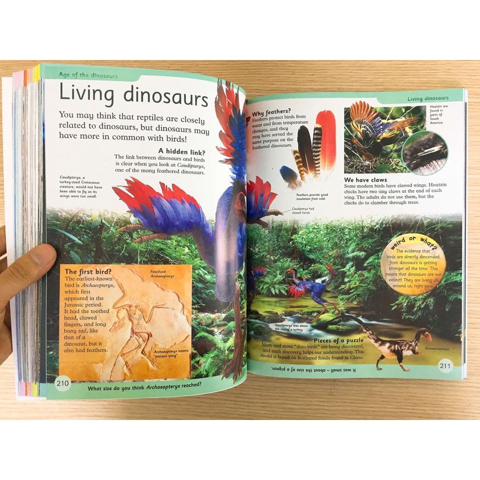 Đồ chơi- First Children's Encyclopedia - Bách khoa tri thức cho trẻ