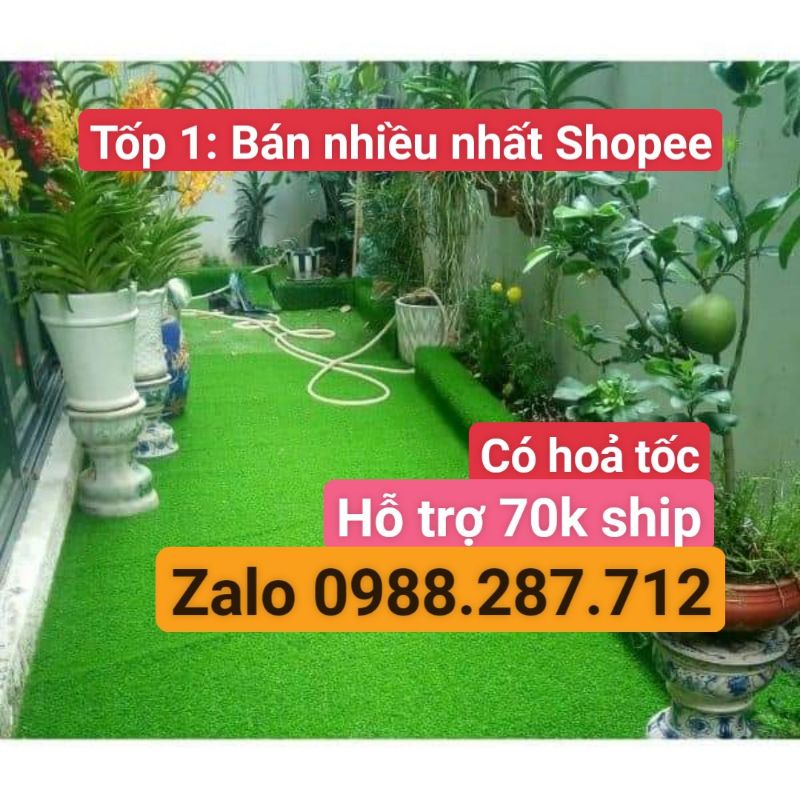 Thảm cỏ nhân tạo 2cm sợi nhựa sân vườn