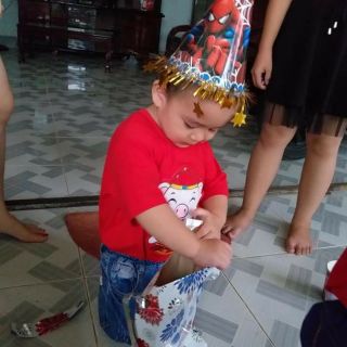 Freeship 99k tq_áo heo hót hít chào đón năm heo ah