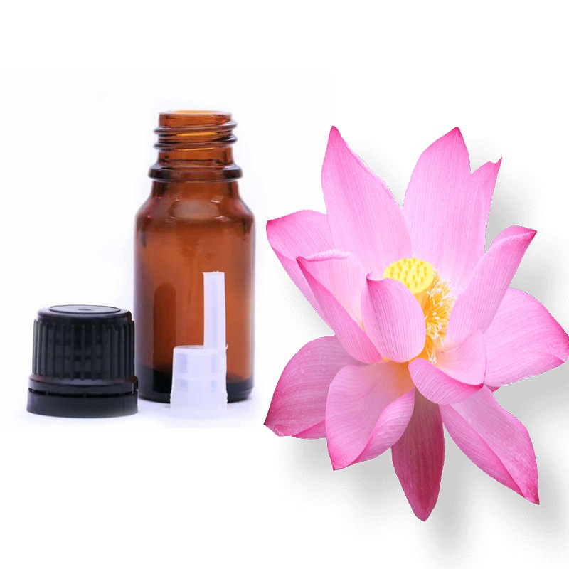 Tinh dầu hoa sen nguyên chất ( Lotus Essential Oil ) GUTY