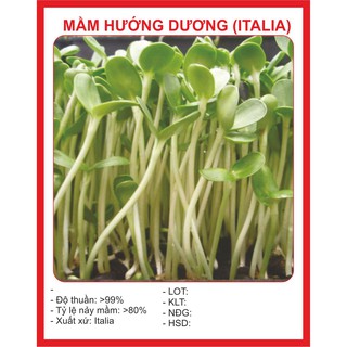 Hạt Giống Rau Mầm Hướng Dương - 40gr