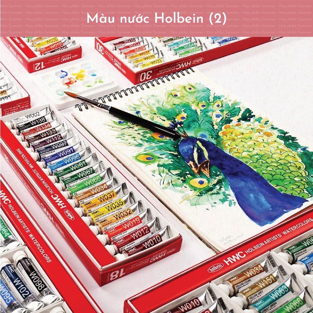 [SUMMER] Màu nước Holbein 30/48/60 màu chính hãng