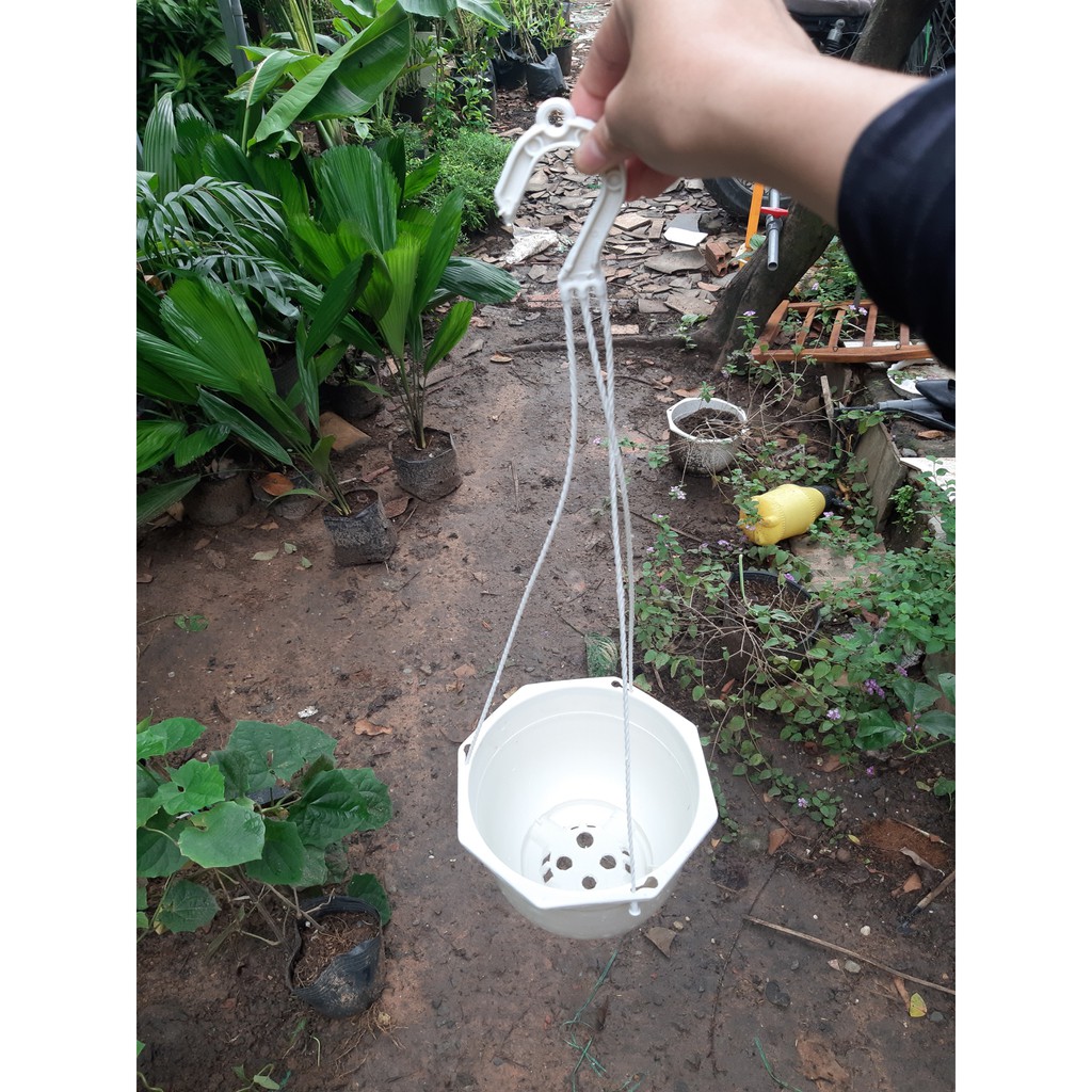 Chậu nhựa treo 19x14cm