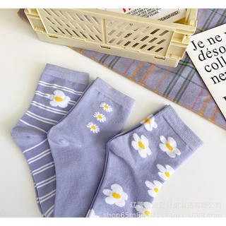 BỘ TẤT TÍM CỔ LỠ MỚI