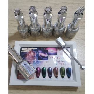 Sơn gel ZYZC mắt mèo 9D