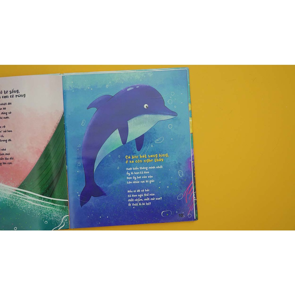 Cuốn sách kiến thức về đại dương và học kể chuyện, CÁ HỀ KỂ CHUYỆN ĐẠI DƯƠNG, Hộp Háo Hức