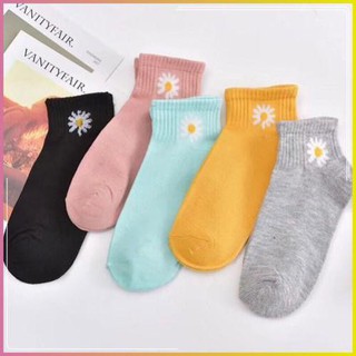 Tất Hoa Cúc, Vớ Hoa Cúc Co Dãn Nam Nữ Thời Trang Hottren _ KING BOUTIQUE