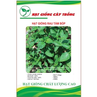 Hạt giống cây tầm bóp ct95 - gói 50 hạt