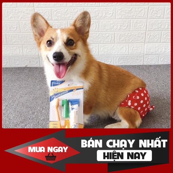 [❌GIÁ SỈ❌] [ RẺ VÔ ĐỊCH ] Bộ bàn chải kem đánh răng cho thú cưng thơm miệng chống sâu răng cao cấp ❤️