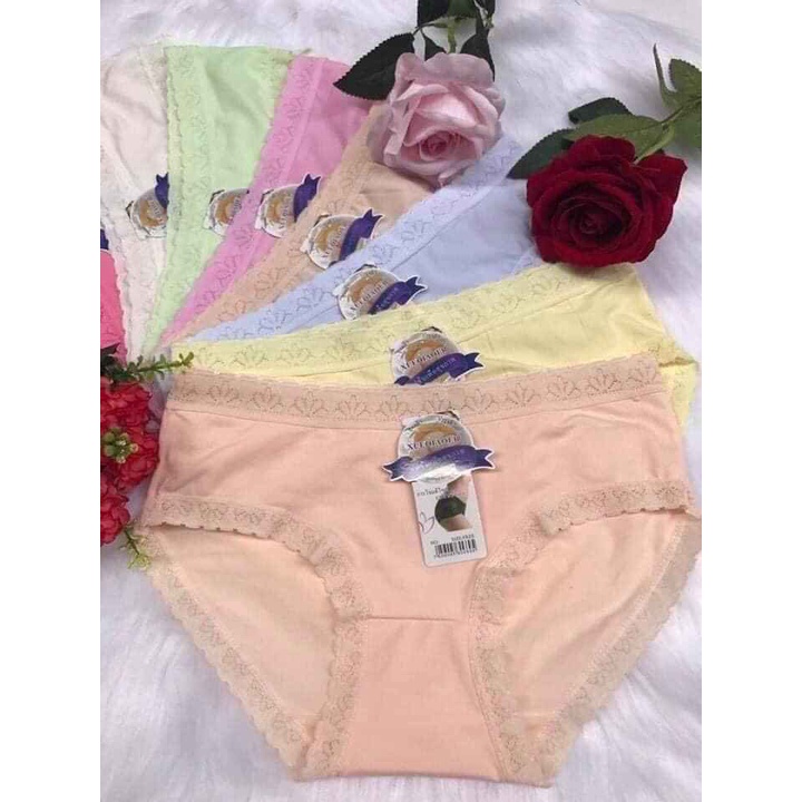 Quần Lót Cotton Nữ-Set 10 Quần Lót Trơn Đơn Giản Sang Chảnh Nhiều Màu