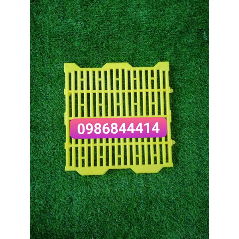 Tấm lót chuồng lợn con