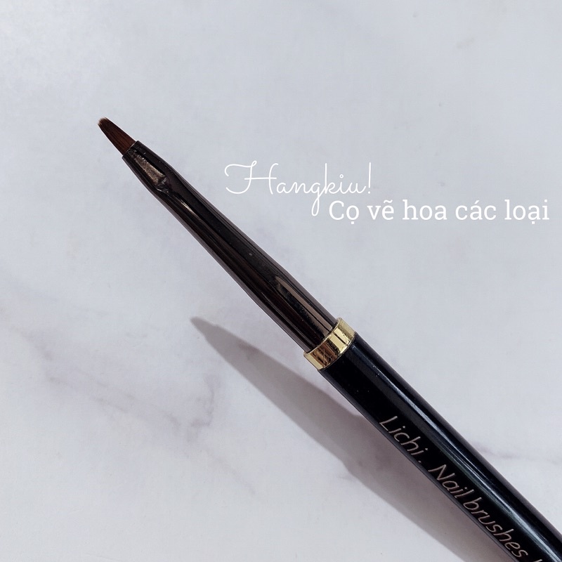 [HANGKIU] CÁC LOẠI CỌ VẼ HOA CÚC CAO CẤP