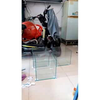 Hồ Cá Cảnh 20. 20.20