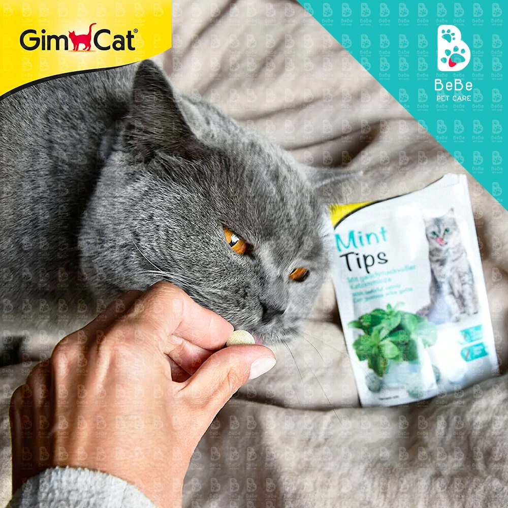 Bánh Thưởng GIMCAT Nutri Pockets 40-60-150Gr Nhiều Vị Cho Mèo - Hàng Nhập Khẩu Đức