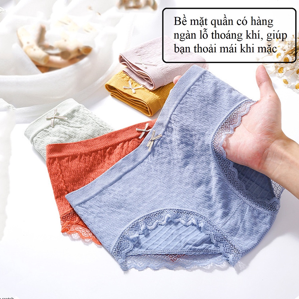 Quần lót cotton nữ kháng khuẩn thoáng mát, quần chip nữ dệt kim đính nơ xinh tôn vòng 3 gợi cảm thông hơi co giãn 4 chiề