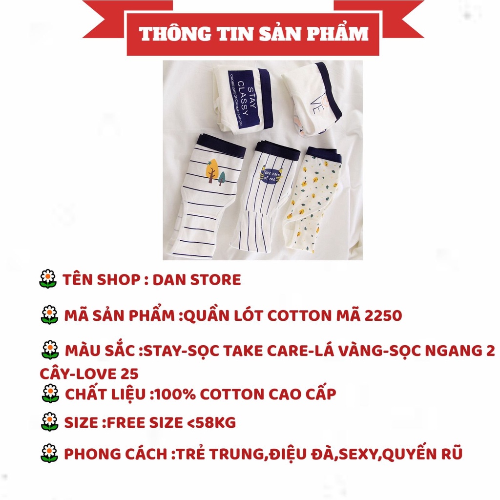Quần Lót Nữ - Quần Lót Nữ Cotton viền xanh phối họa tiết điệu đà cá tính DAN STORE MÃ 2250