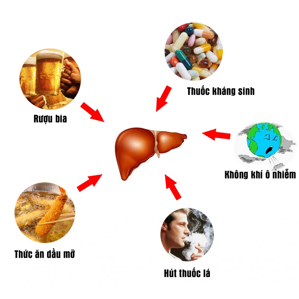 Viên Uống Hỗ Trợ Tăng Cường Chức Năng Gan Liver Tonic Careline Lọ 60 Viên