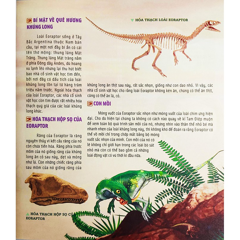 Sách cho bé - Bách Khoa Động Vật Dành Cho Trẻ Nhỏ - Khủng Long