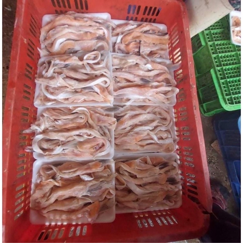 lườn cá hồi nauy 1kg❤️GIÁ SỈ ❤️ béo ngậy, thơm ngon bổ dưỡng