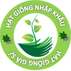 HẠT GIỐNG NHẬP KHẨU