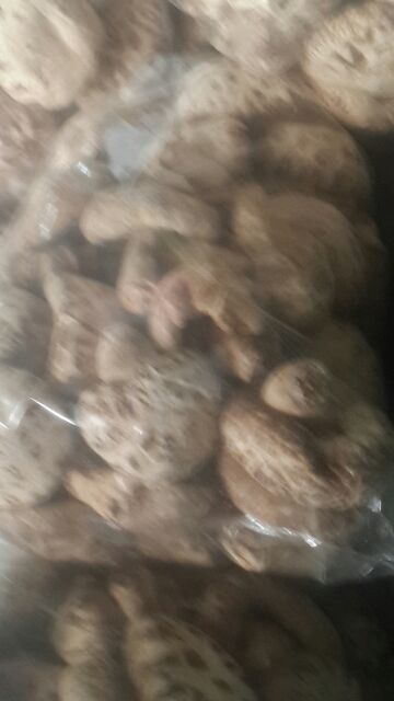 năm đông cô to khô làm thuốc | BigBuy360 - bigbuy360.vn