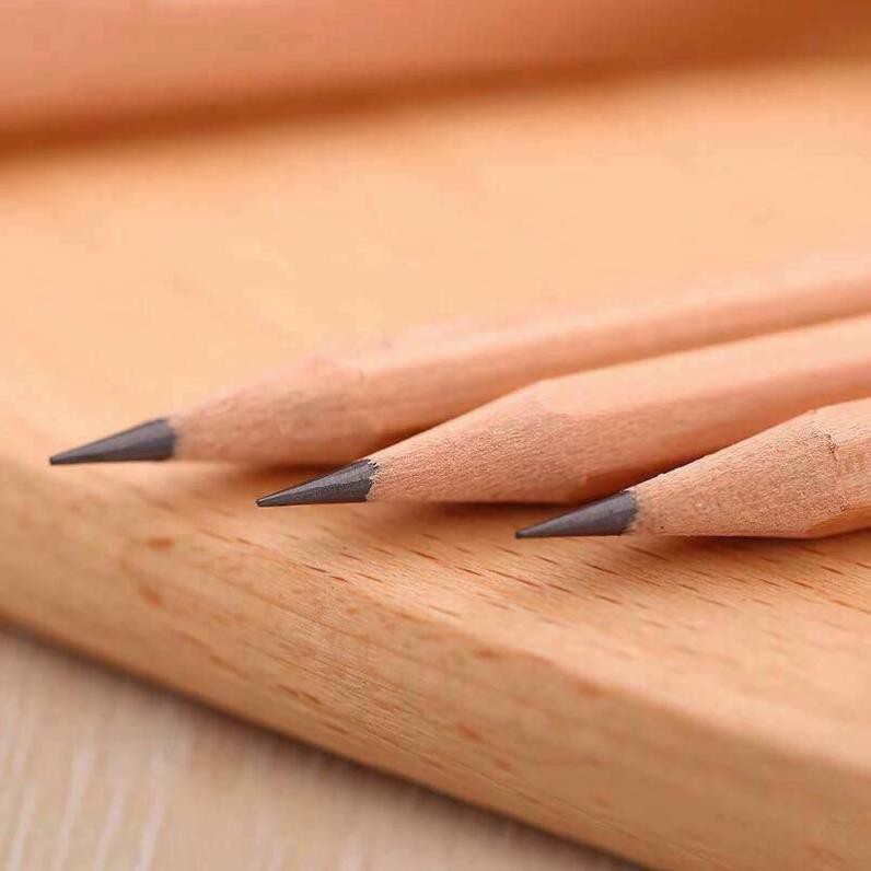Hộp 50 bút chì gỗ 2B cao cấp Loại Tốt