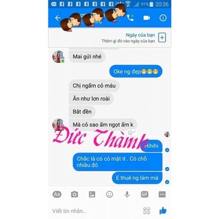 Cỏ máu tăng cân 1kg