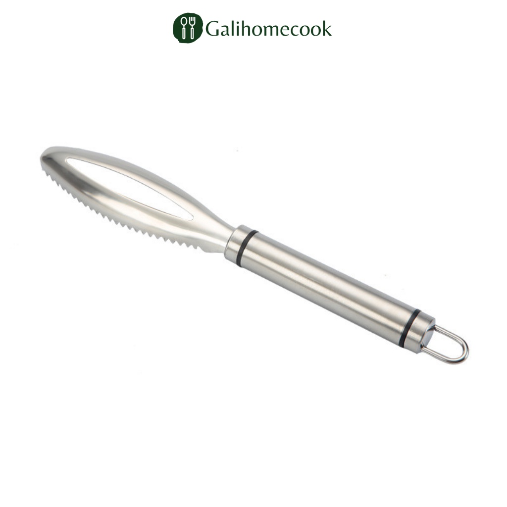 Dụng cụ đánh vẩy cá bằng inox 304 Sạch Sẽ Tiện Dụng Cho Nhà Bếp | Galihomecook DVC