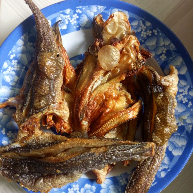 matieungoc