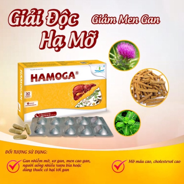 [Chính Hãng] HAMOGA- thanh nhiệt, giải độc gan, hạ men gan, giảm cholesterol - Hộp 30 viên