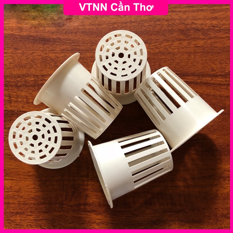 10 Rọ nhựa trồng rau thủy canh 65 x 65mm | Thủy Canh Cần Thơ