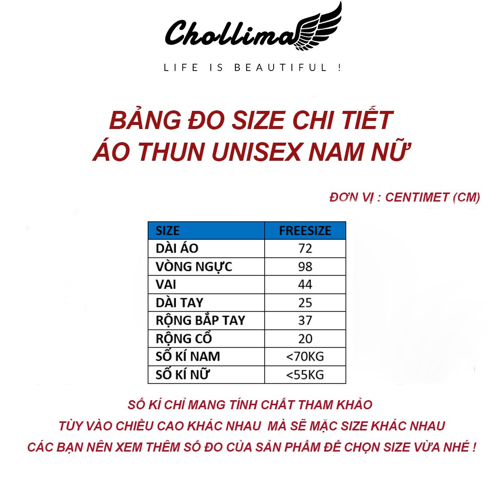 Áo thun tay lỡ unisex Chollima form rộng phong cách Ulzzang in hoa cúc sau lưng AT004