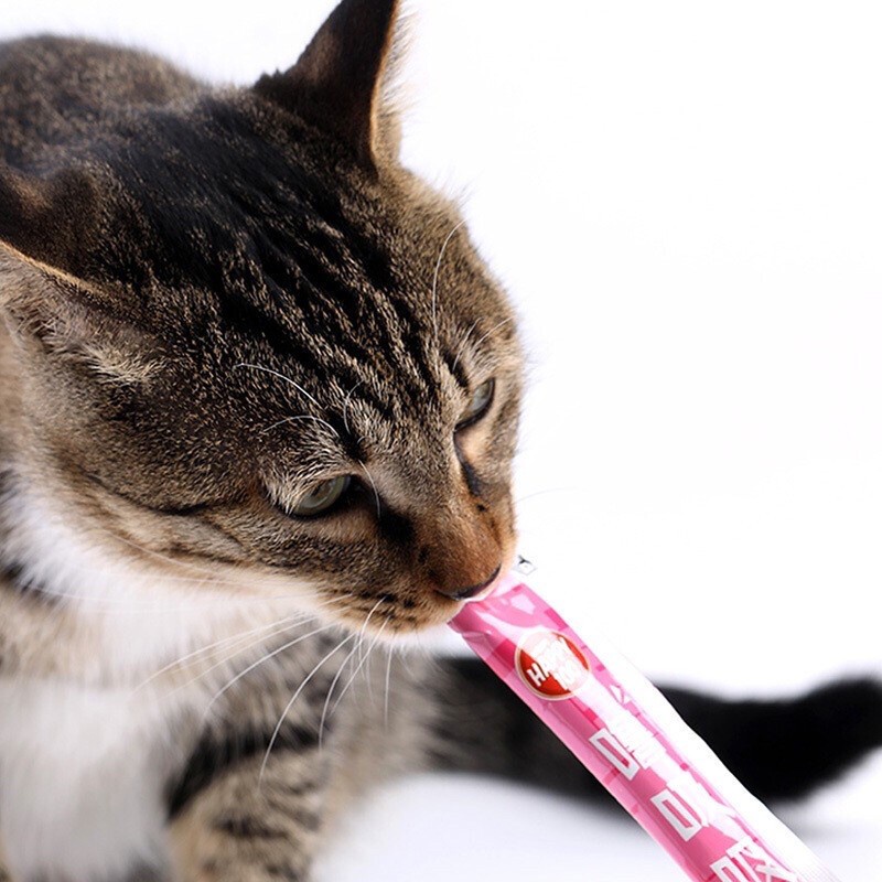 Súp thưởng cao cấp Wanpy dành cho mèo với 5 vị  - Pika Petshop