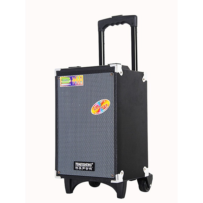 Loa Kéo Di Động Temeisheng A8-2
