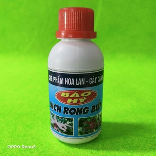 DỊCH RONG BIỂN - BÁO HỶ 100ml