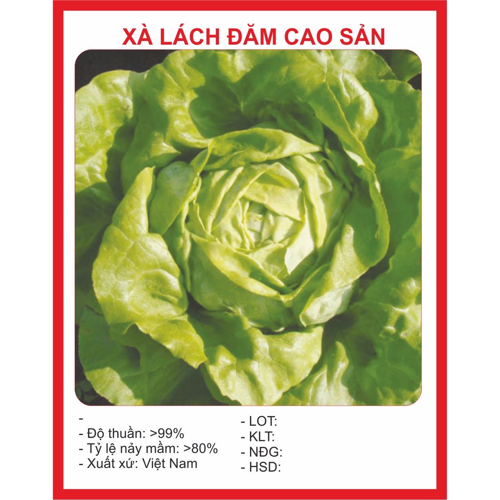 Hạt Giống Xà Lách Đăm Cao Sản 2gr 2000h