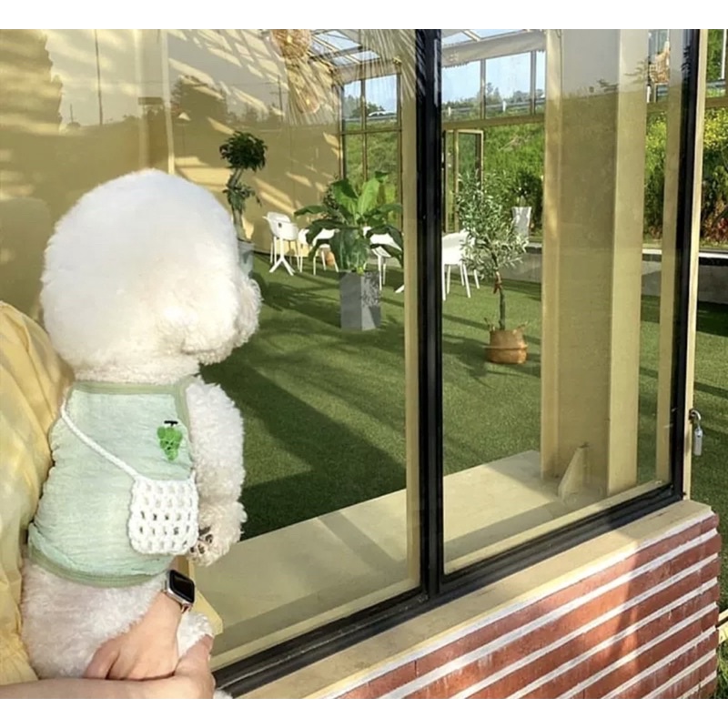 Áo hai dây chất đũi cho thú cưng