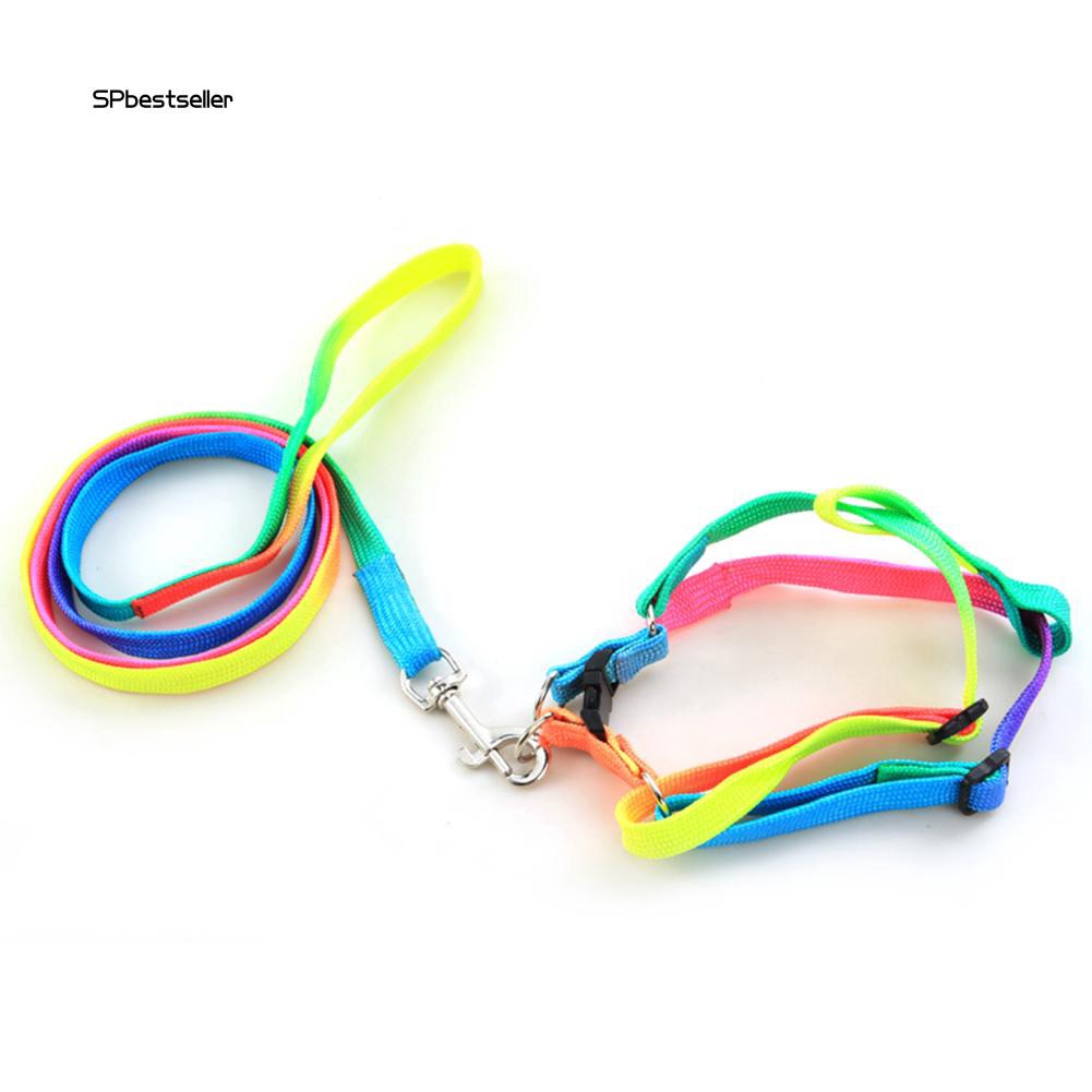 Dây đeo cổ nhiều màu sắc kèm dây dắt cho chó cưng