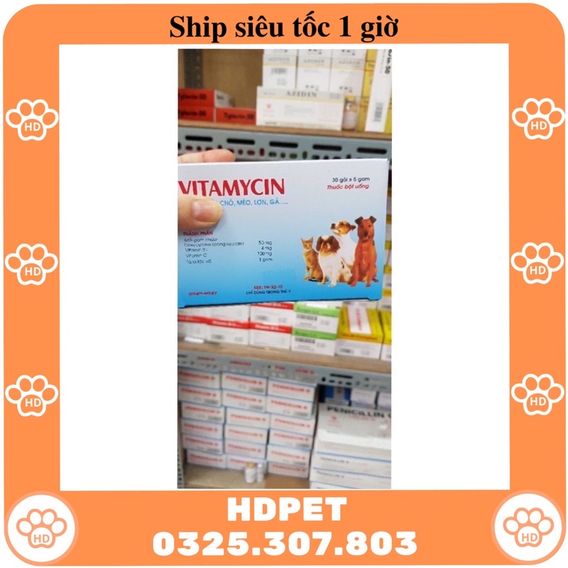 Kháng sinh cho chó mèo chữa tiêu chảy, viêm