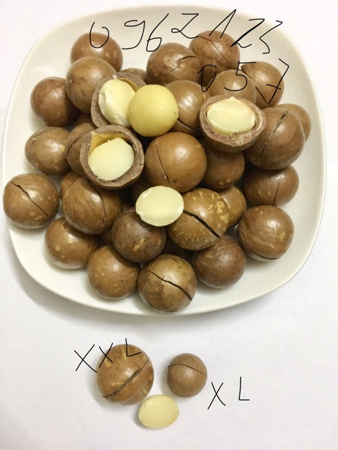 Quả Macca Úc 500g - kèm cậy tách